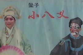 河南坠子视频小八义16集mp4百度网盘打包下载