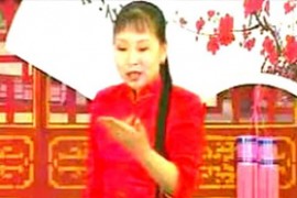 胡中华河南坠子皇爷私访陈州城10集mp3百度网盘打包下载