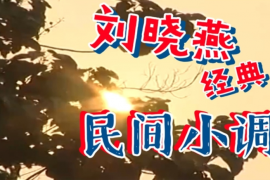 民间小调 刘晓燕 mp4视频合集 百度网盘打包下载