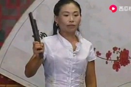 河南坠子李娘娘回京演唱胡银花视频打包下载