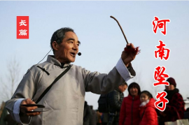 河南坠子《皇爷私访陈州城》全集1.4G下载MP4胡中花10集