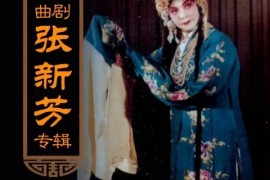 经典曲剧团皇后张新芳唱段 合集视频打包下载5部含祭塔 荆钗记 陈三两等2.08 GB