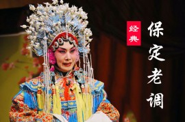 经典保定老调29部全部打包下载