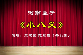 河南坠子《小八义》全集下载1.38G MP4王建国范翠霞
