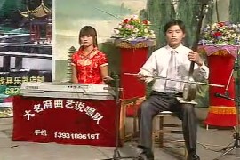 河南坠子大闹淮安府全集视频打包下载