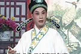 庐剧岳飞传完整版夏巧云 盛小五全集视频mp4网盘打包下载