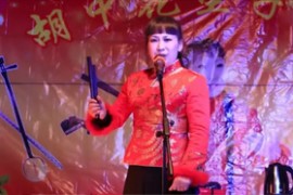 经典胡中花短篇坠子19部avi视频下载2.03 GB