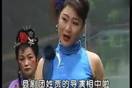 流畅版金不换 豫剧曲剧越调梆子 李天方 毕松萍 李小双演唱打包下载