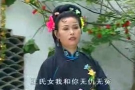 庐剧 孟姜女完整版全集视频昂小红吴南野mp4网盘打包下载