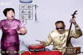 郭永章高爱香偏向闺女鲁西南的瑰宝河南坠子精选视频打包下载