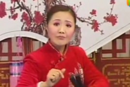 经典河南坠子《王莽赶刘秀》莫红梅5.22 GB