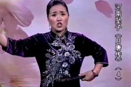 河南坠子月唐传10集莫红梅演唱mp3打包下载