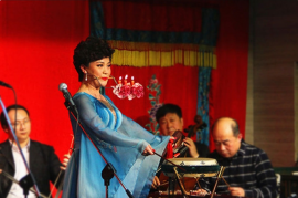 河南长篇坠子 大闹淮安府 呼延庆 大全 MP3下载 18部