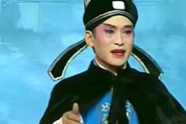 庐剧 八世夫妻完整版全集mp4视频网盘打包下载