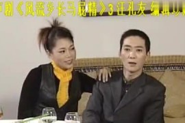 庐剧《风流乡长》完整版全集视频mp4魏小波陈伶俐打包下载