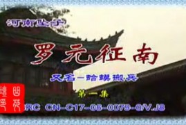 河南坠子 罗元征南 全集视频打包下载