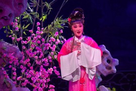 庐剧视频合集小皮匠朱压岁钱肖等高清版第二部分打包下载