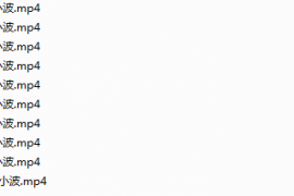 庐剧魏小波钟馗嫁妹完整版全集视频mp4百度网盘打包下载