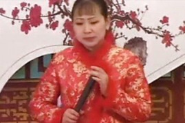 河南坠子书大全三堂会审大闹淮安府三打四劝等mp3音频打包下载