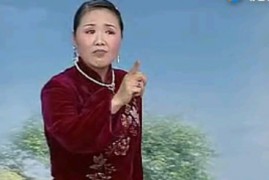 流畅版河南坠子《中红袍》莫红梅mp4打包下载