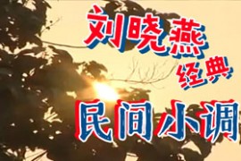 民间小调凤仙改嫁等刘晓燕合集mp4视频百度网盘打包下载