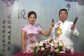 河南坠子 响马隋唐传全集百度网盘下载