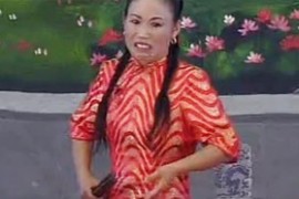 河南坠子小刘公全集1-3部30集mp3音频百度云打包下载