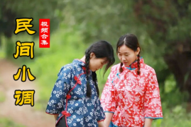 安徽民间小调 搬来熬子打老婆 无赖退亲 大傻小傻 戏曲视频百度网盘打包分享