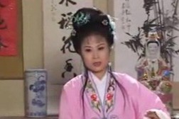 庐剧《逼儿休妻》完整版视频全集mp4 夏小二 单小侉 昂朝霞打包下载