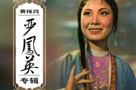 黄梅戏老戏-严凤英珍藏作品专辑精粹MP3音频全集打包下载