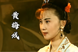 安徽地方戏曲黄梅戏含韩再芬主演专辑等7部MP4视频打包下载