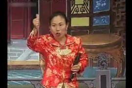 河南坠子胡银花 大明奇冤 38集全集mp3音频打包下载