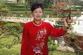 经典流畅版河南坠子《大红袍》莫红梅打包下载3.26 GB