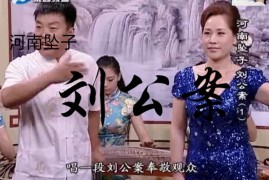 河南坠子刘公案全本 王建国 范翠霞演唱视频下载