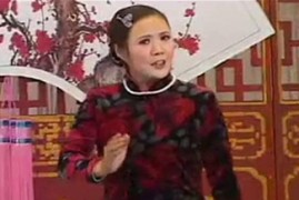 河南坠子月唐传10集莫红梅mp4视频全集打包下载