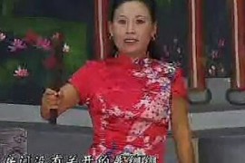 河南坠子大明奇冤胡银花演唱视频大全