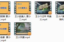 庐剧王小系列王小假报喜 王小六过年等全集mp4视频网盘打包下载