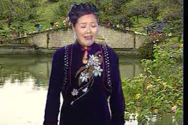 河南坠子大红袍（第二部七集）莫红梅视频完整版