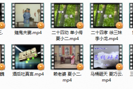 经典庐剧三个小偷 二十四劝 等视频10部mp4网盘打包下载