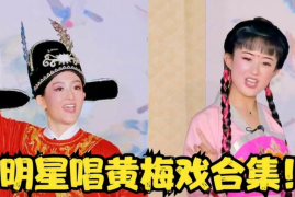 经典黄梅戏合集 严凤英 十八摸 桃花梦 逼母讨饭 一夜情仇 视频mp4打包下载