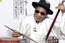 河南坠子罗成算卦王华买爹全集两部mp3音频打包下载