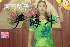 河南坠子 严海斗 莫红梅演唱全场戏百度云盘打包下载
