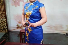 河南坠子 名家胡银花专辑含大明奇冤等 28部视频打包下载
