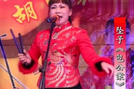 河南坠子视频包公案mp4百度网盘打包下载