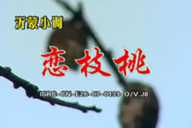 沂蒙小调 恋枝桃 标清MP4视频四部共16集 百度网盘打包下载