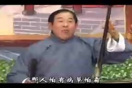 河南坠子杨宗英下山全本 张麦劳 视频下载