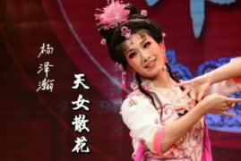 黄梅戏合集 徽商胡雪岩 潘金莲 天女散花 燕子归时 等视频mp4打包下载