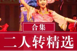 二人转正戏32部精选合集功夫茶傻柱子接媳妇等mp4视频网盘打包下载