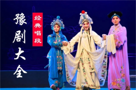 豫剧大全14部 刘庸扒墓 刘墉三下南京 罗成投唐 洛阳桥 麻风女 唱戏机视频下载