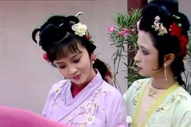 河南坠子视频 五小闹汴京8集申利华戏曲资源合集mp4打包下载